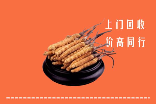 高价求购：甘孜乡城回收散虫草