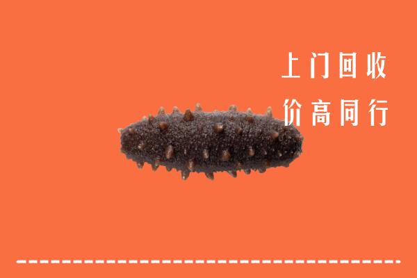 高价求购：甘孜乡城回收海参