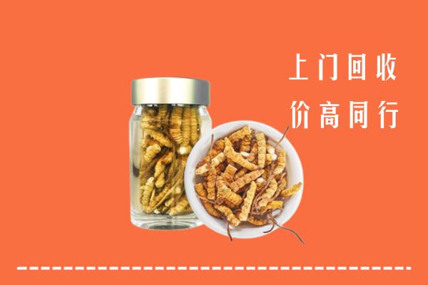 甘孜乡城回收冬虫夏草
