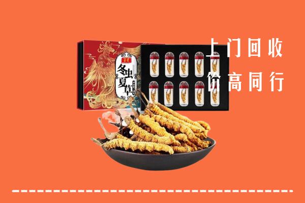 甘孜乡城回收虫草